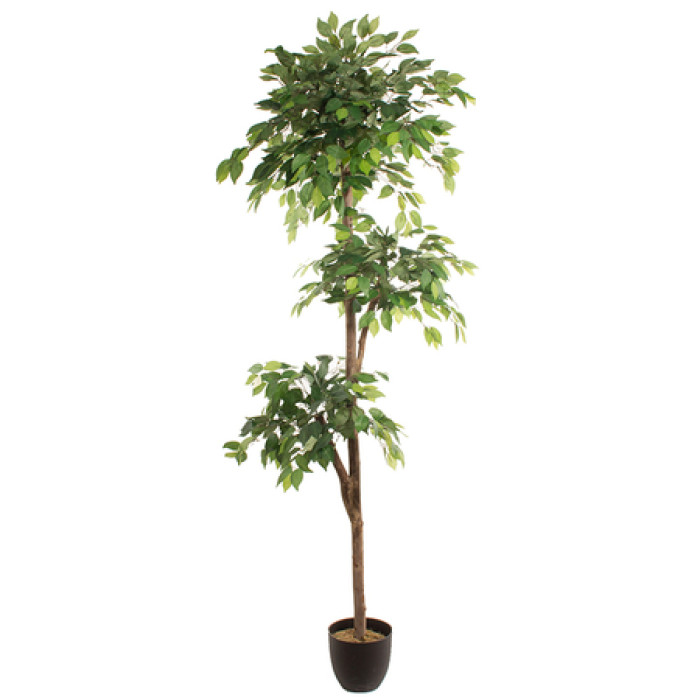 Artificial plant FICUS 2.20m